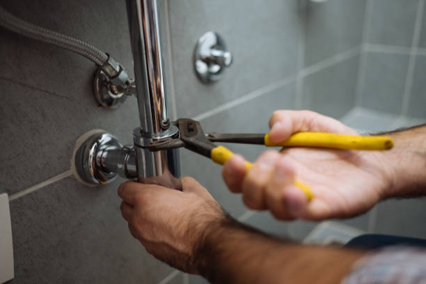 Best Clogged Drain Plumber  in Maryvle, IL